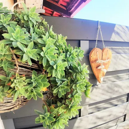 Svetac - Beautiful Sea And Islands View * Rogoznica (Sibenik-Knin)